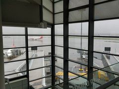 -虹桥机场国航贵宾室v8