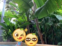 -稷泽·海丽宾雅温泉度假酒店