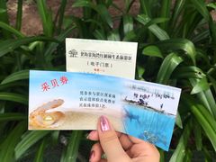 -北海金海湾红树林生态旅游区