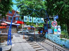 -猫咪博物馆(顶澳仔猫街店)