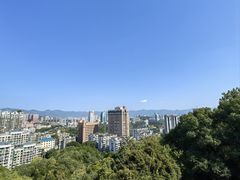 -福道