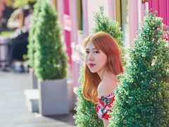 -新罗免税店(首尔总店)