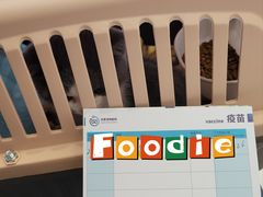 -关爱宠物医院·猫科中心·消化科(滨湖万达分院)