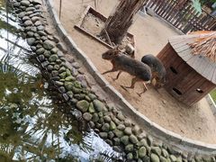 -呀路古热带植物园