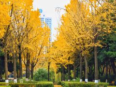 -苏州河梦清园环保主题公园