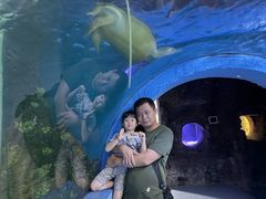 -嘉兴海底世界