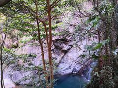 -宁波五龙潭景区