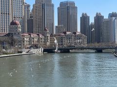 -海河游船-永乐码头(大悲院)