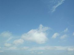 -焦岗湖旅游度假区