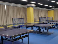 -乐旋乒乓球(广州西湾路店)