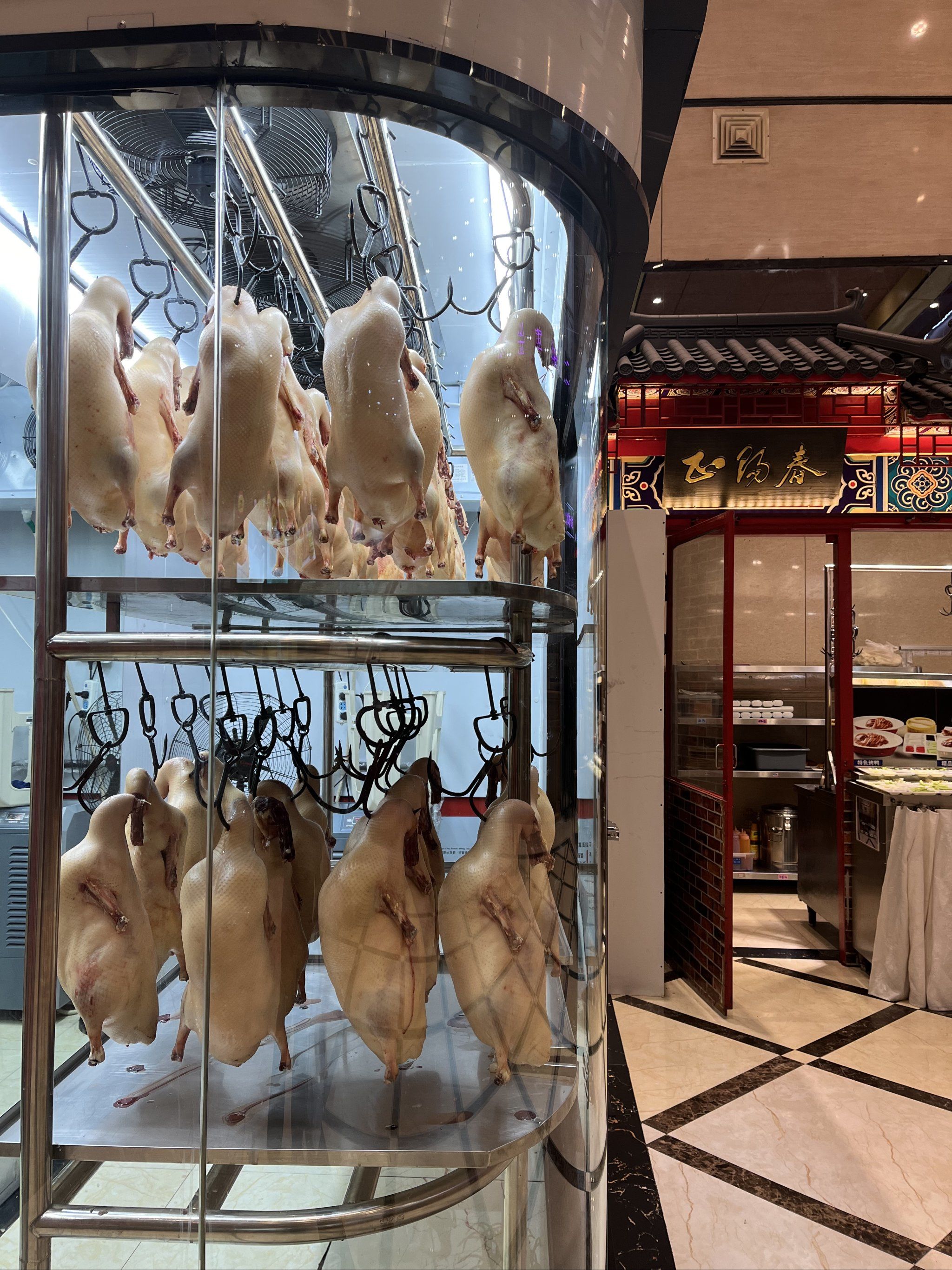 聚会好去处!正阳春鸭子楼!