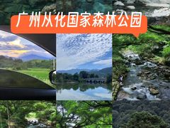 -广州市石门国家森林公园