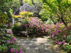 -汇龙潭