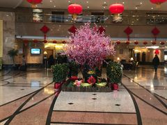 -南京维景国际大酒店(南京博物院店)