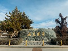 -张掖大佛寺景区