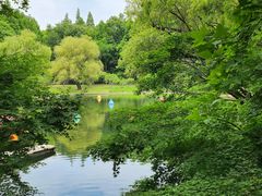 -上海共青森林公园