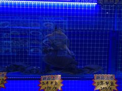 -湘满甲·黄焖甲鱼创始者·湘菜·鲁菜(潘家园店)