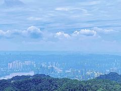 -大金鹰园