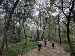 -虞山风景区
