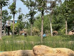 -北京野生动物园