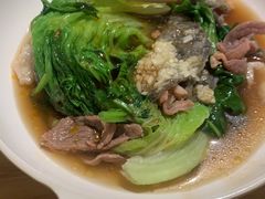 -太极泉健康休闲广场