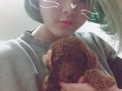 -贝利宠物医院·骨科·眼科·肿瘤转诊中心(南坪诊疗中心)
