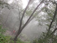 -终南山国家森林公园