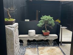-觀芷隐轩