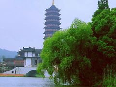-长兴太湖图影湿地文化园
