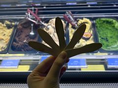 -CORNER CONE GELATO酷矿手作霜淇淋(南头古城店)