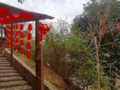 -楠溪江风景名胜区