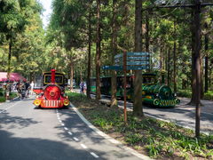 -东平国家森林公园