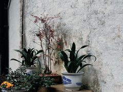 -绍兴鲁迅故里·沈园景区