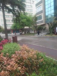 -河南中医药大学第一附属医院-医疗整形