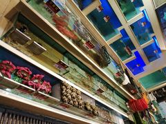 -宜宾海鲜酒家·三十年老字号