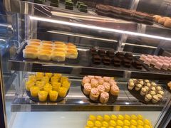 -星伦多自助料理·涮烤一体(虹悦城店)