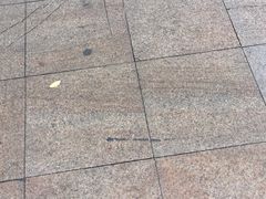 -南翔小笼館(嘉定店)