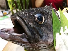 -月下料理(楷林IFC店)