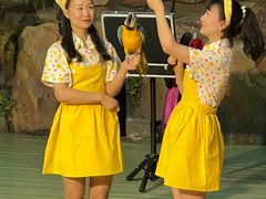 -萌宠奇缘