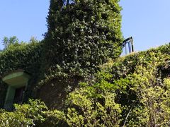 -三鹰之森吉卜力美术馆