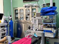 -pd派德宠物中心医院24H急重症·眼科中心·血液透析中心(嵩山北路店)