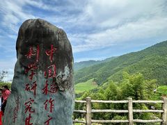 -龙脊梯田