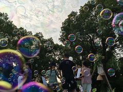 -不觉晓CAMPING(上海迪士尼营地店)