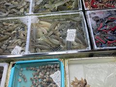 -霞涌市场海鲜摆卖区