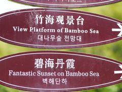 -宁波浙东大竹海景区