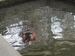 -宿豫区运河湾森林动物园