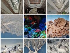 -中国湿地博物馆