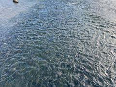 -深圳湾公园(南山区)