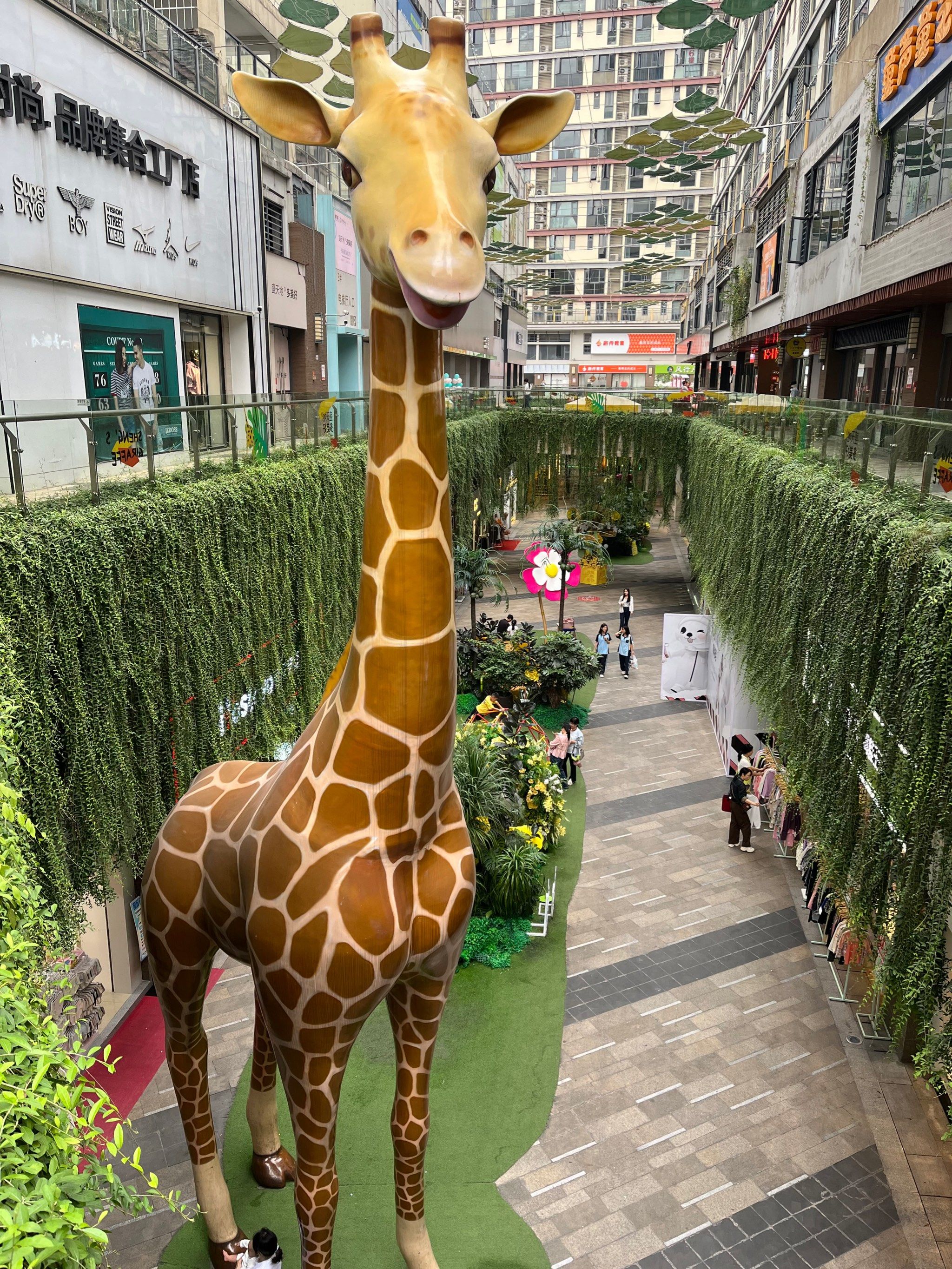 南宁|江南盛天地