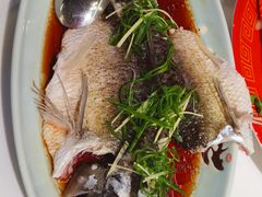 -清晖小苑•顺德地方菜(壹海城店)